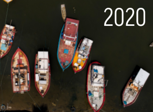 Auditoria da Pesca 2020