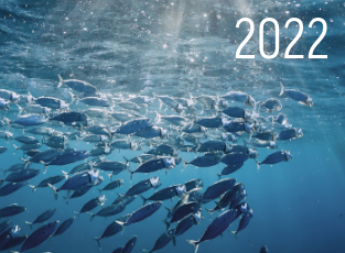 Auditoria da Pesca 2022